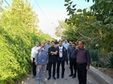 برگزاری پیاده ‌روی کارکنان مجتمع آموزشی درمانی نیایش  شیراز  